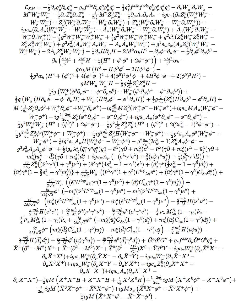 Expanded Standard Model Lagrangian with numbered rows for discussion